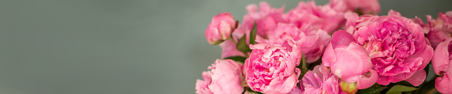 Peonies