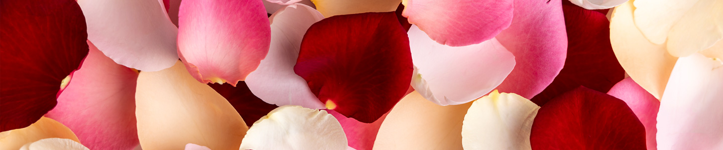 Meaning of rose colours