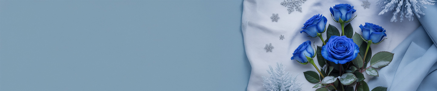 Roses in winter Roses in winter