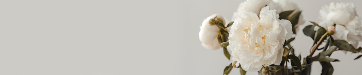 Rose variety: Duchesse de Nemours