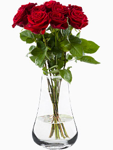 Order10 red roses