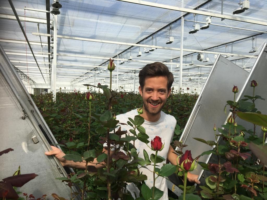 Grower: Meewisse Roses