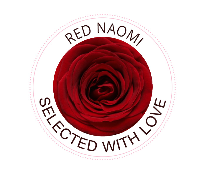 Red Naomi rose