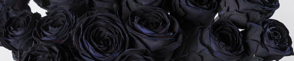 Black roses