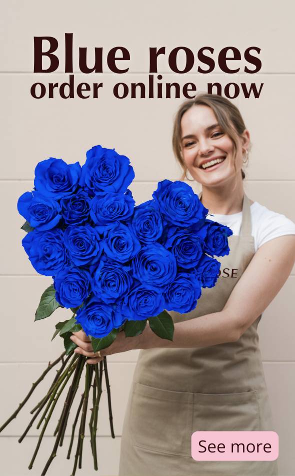 Order blue roses