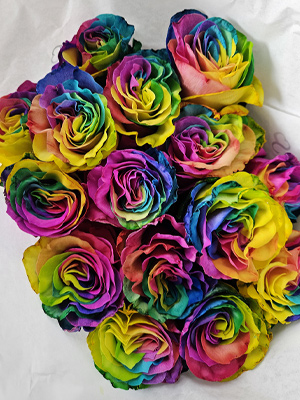 Bouquet of rainbow roses Rainbow roses