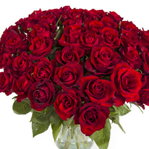 Bouquet of red roses