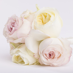 Bridesmaids bouquets