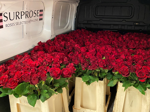 Order roses on account