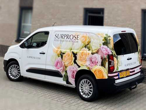 Get in contact with Surprose