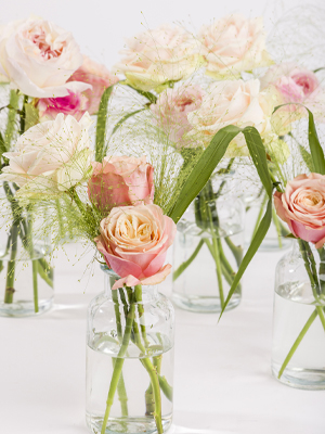 Centerpiece sets pastel plus Centerpiece sets pastel plus