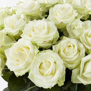 Choose your own number of roses