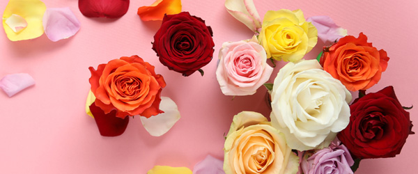 Colourful roses Colourful bouquet