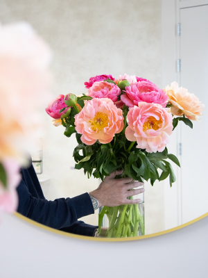 Coral Charm peonies Coral Charm peony