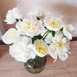 White peonies White peonies