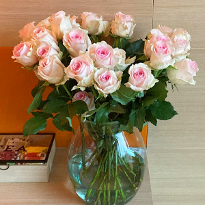 Soft pink roses - Sweet Revival Soft pink roses - Sweet Revival
