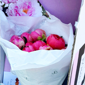 Coral Charm peonies Coral Charm peonies