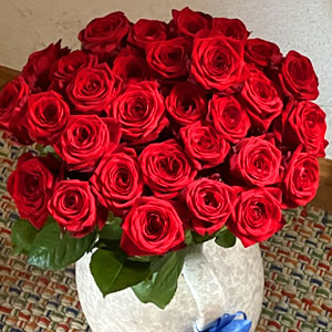 30 red roses 30 red roses