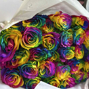 Customer photo - Rainbow roses