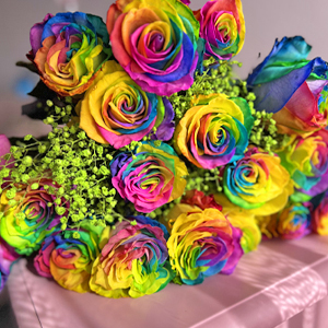 Rainbow roses Rainbow roses