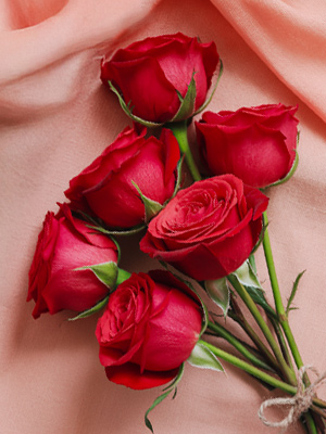 12 June: The day of red roses