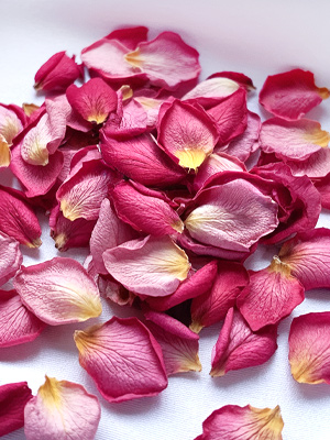 Drying roses Dry your roses