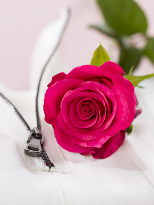 Facts about roses Facts about roses