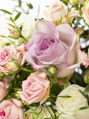 Giving and receiving flowers brings happiness