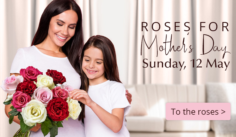 Order roses for Mother's Day