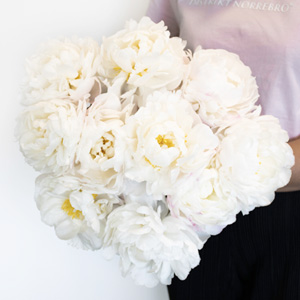 White peonies