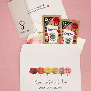 The greeting card