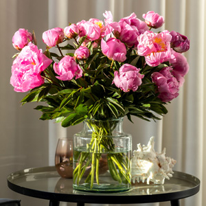 20 hard pink peonies 20 hard pink peonies
