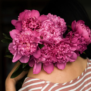10 pink peonies 10 pink peonies