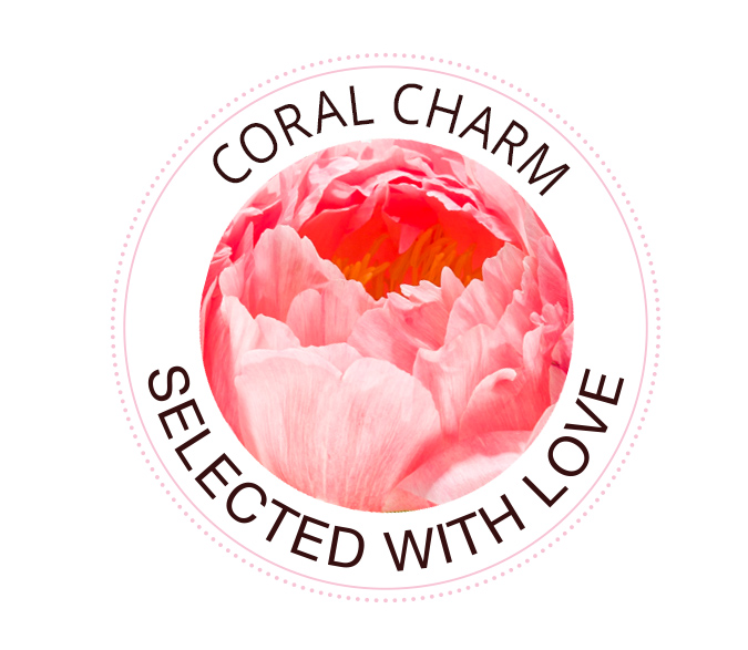 Coral Charm rose