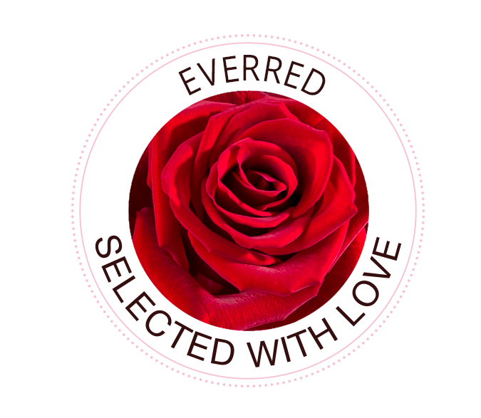 EverRed rose