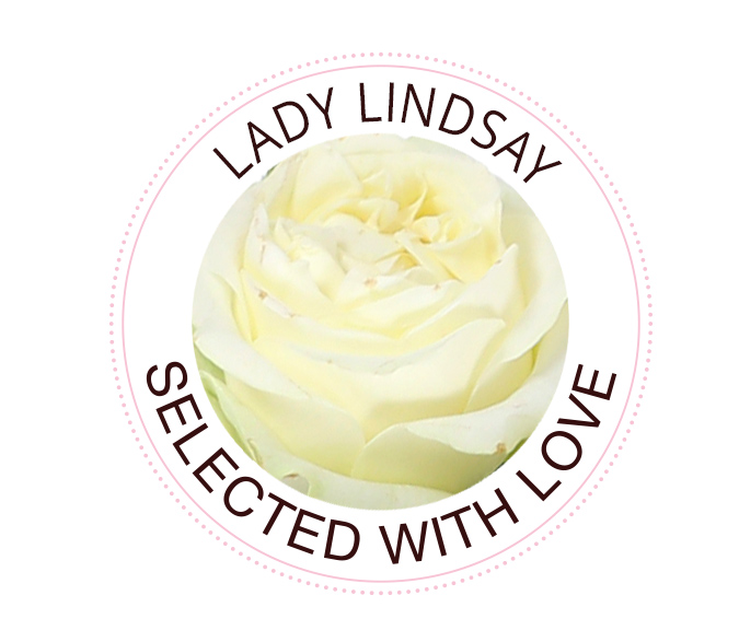 Lady Lindsay rose