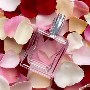 Rose petals Rose petals