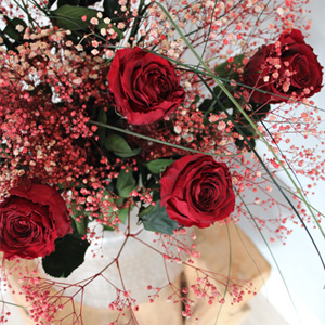 Long life roses Long life roses