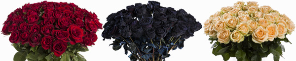 Order 50 roses