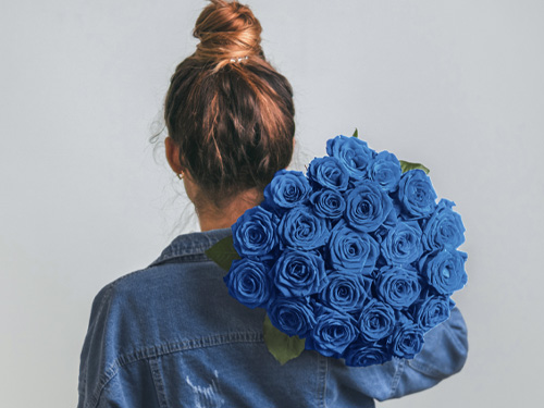 Blue roses