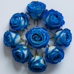 Send blue roses