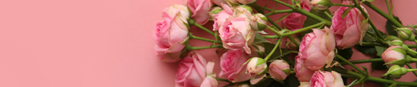 Send spray roses Order spray roses