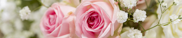 Bunch of roses Order a rose bouquet