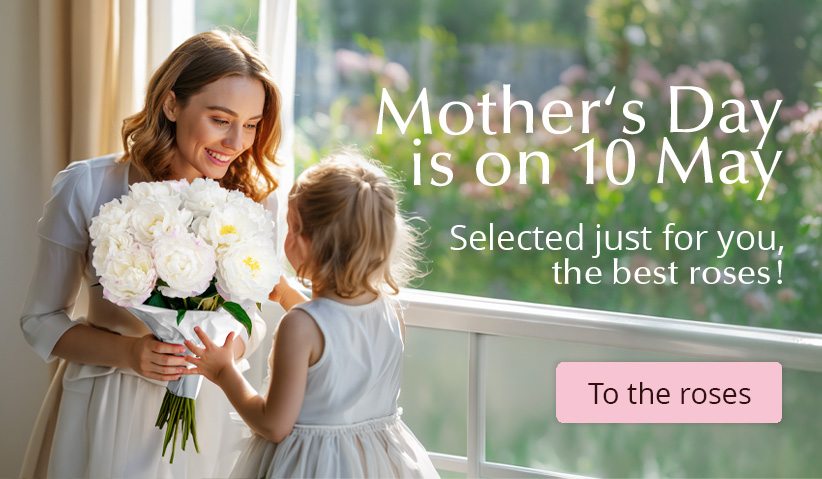 Order roses for Mother's Day