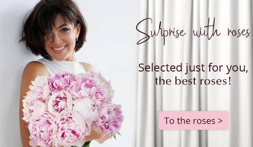 Surprose.com: Order roses online | Delivery in NL, DE and BE