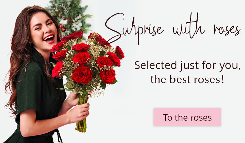 Send roses Order roses