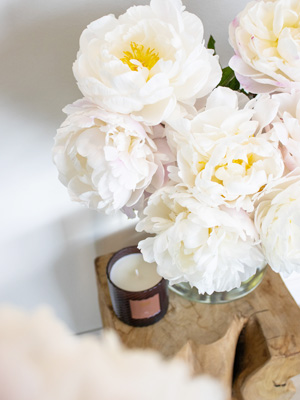 White-pink peonies - Gardenia