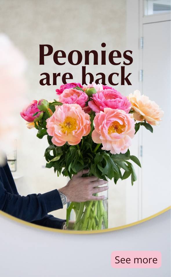Order peonies