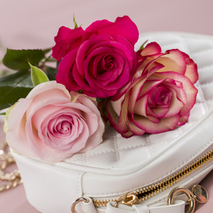 Order pink roses