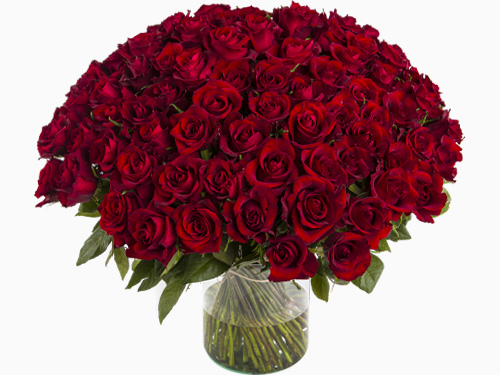 Choose your number red roses - EverRed Choose your number red roses - EverRed